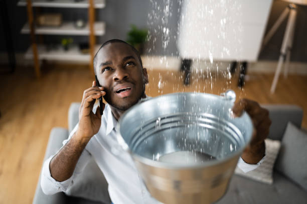 Best Flood damage cleanup  in Estill Springs, TN