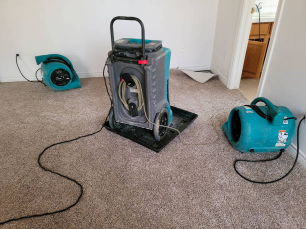 Best Fire Damage Restoration  in Estill Springs, TN