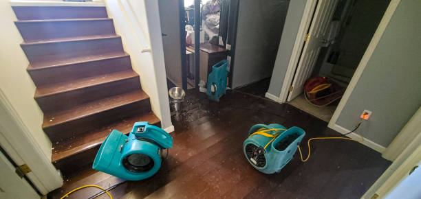 Best 24/7 water damage repair  in Estill Springs, TN