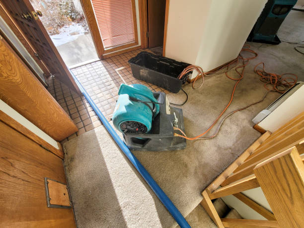 Best Flood restoration services  in Estill Springs, TN