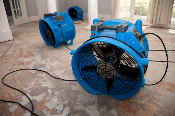 Trusted TN Water damage restoration Experts