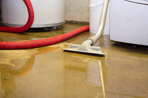 Best 24-hour water damage restoration  in Estill Springs, TN
