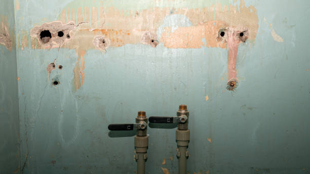  Estill Springs, TN Water damage restoration Pros