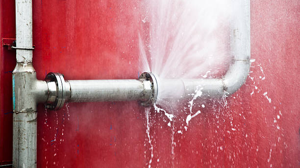 Best Ceiling water damage repair  in Estill Springs, TN
